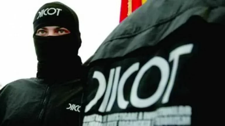 „Cărăușii de bani” în vizorul procurorilor DIICOT. 255 de cărăuși de bani și 11 recrutori au fost identificați de polițiștii români.