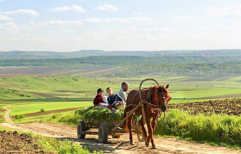 Mii de gospodării din județul Vaslui se vor putea grupa în cooperative agricole! Va fi salvat satul vasluian?