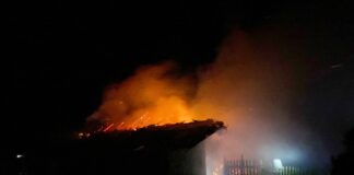 Flăcări uriașe, noaptea trecută, la Schineni, Murgeni