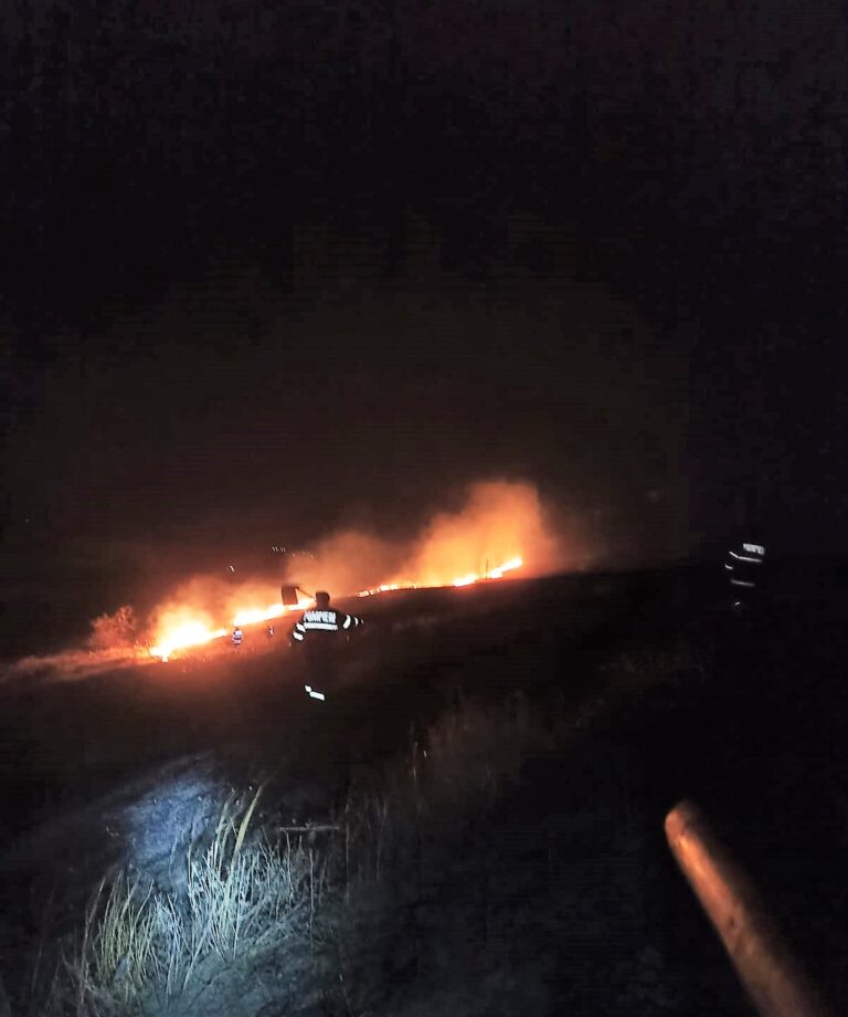 Arde vegetația uscată pe dealurile de la Muntenii de Sus! Pericol de extindere la o stână!