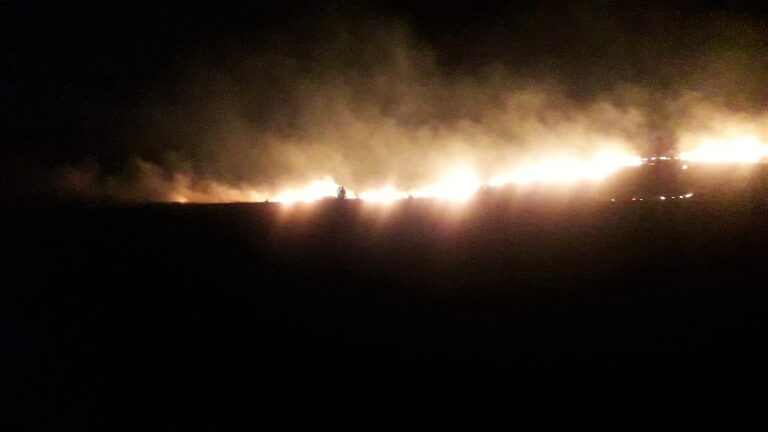 Incendiu la vegetația uscată (din nou!) la Murgeni! Zeci de hectare în flăcări!