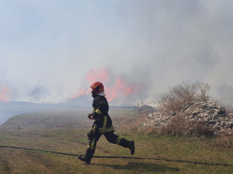 VIDEO//ARDE Vasluiul! Un incendiu de vegetație pârjolește zona Dimitrie Cantemir! Sute de case in pericol!