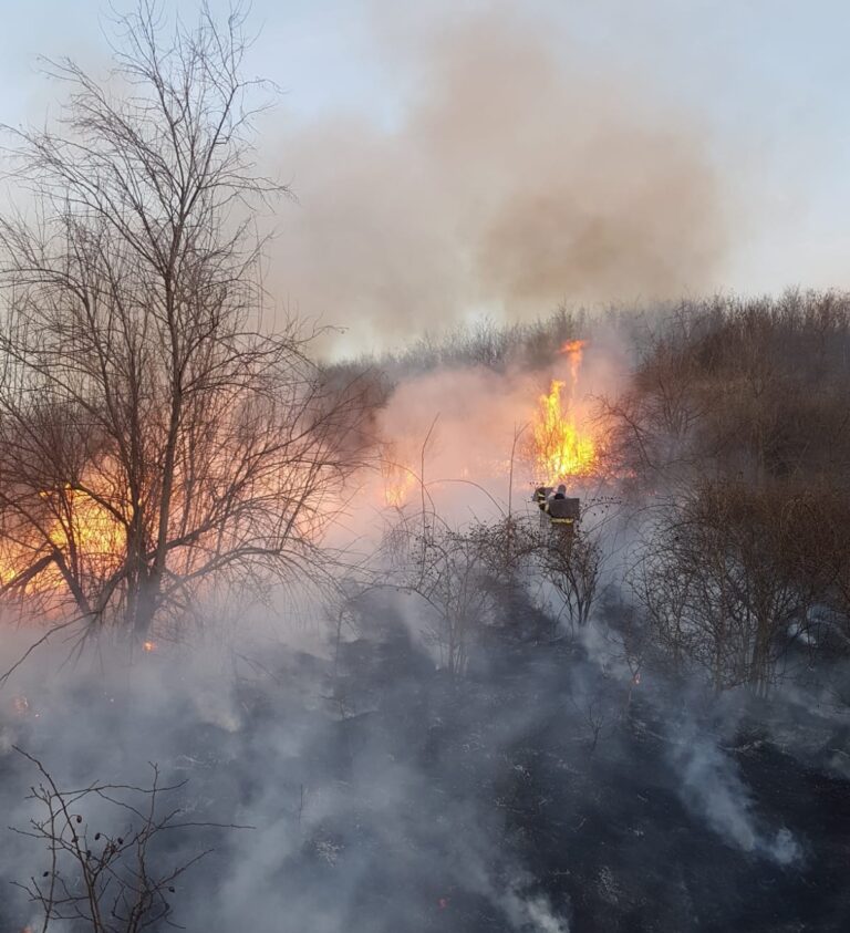Incendiu de nestăpânit, seara trecută, în comuna Oșești! Flăcările au ajuns la o pădure din zonă!