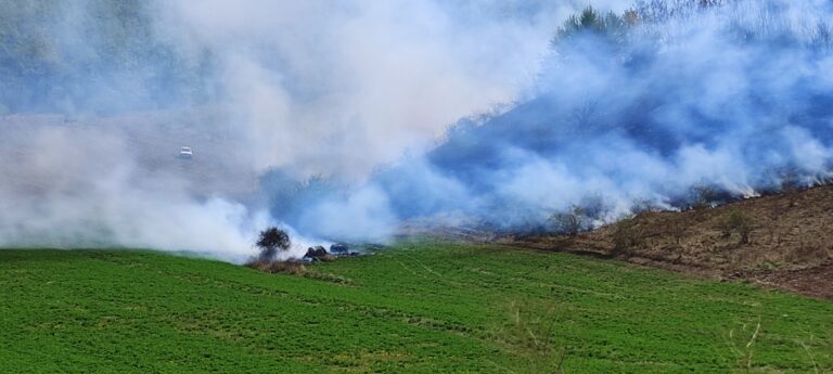 VIDEO Iresponsabili din satul Blesca, Ivănești, au incendiat o tarla! Vântul duce focul spre pădure!