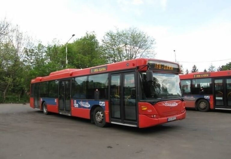 Hoață de buzunare, din Bârlad, prinsă în flagrant! Furase telefonul unei bătrâne, în autobuz! Hoața are 69 de ani!