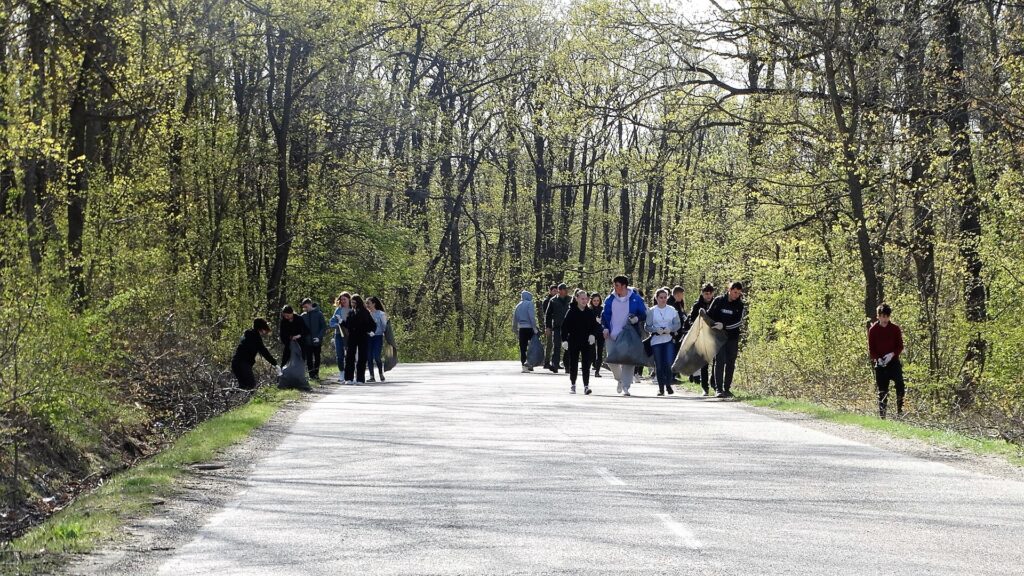curatenie dobrina husi directia silvica. 2jpg 2