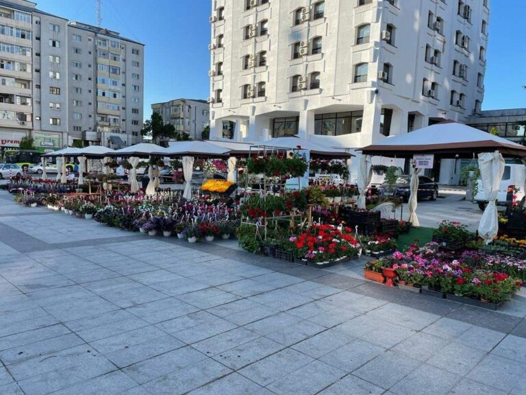 Poftiți la Serbarea Florilor, în centrul Vasluiului! Nu veți regreta!