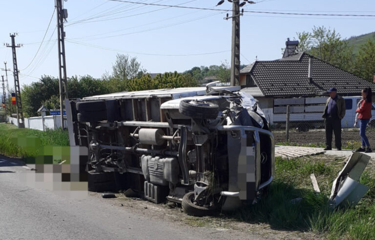 Accident grav în apropiere de Huși, zeci de oi au murit într-un impact nimicitor!
