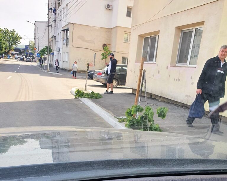 Vandalii au atacat din nou pe străzile Bârladului! Sunt căutați nesimțiții care au făcut aceste distrugeri!