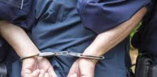Un zmeu din Huși a ajuns pe mâna polițiștilor, după o lună de căutări