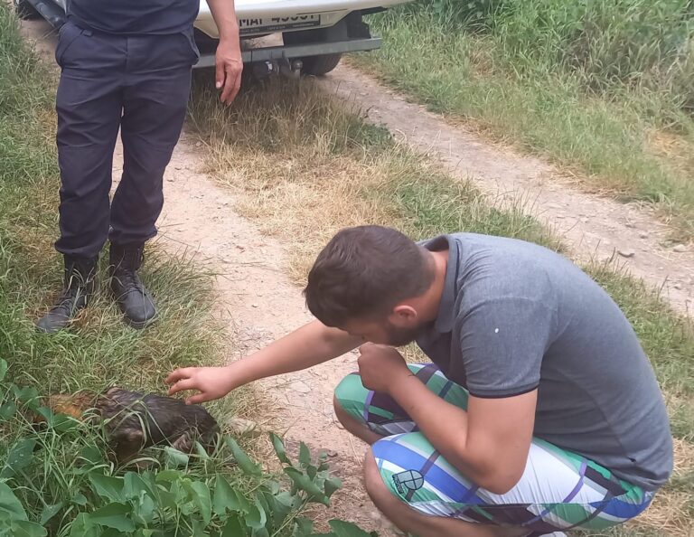 FOTO, VIDEO Cățel salvat de la moarte de pompierii vasluieni! Acțiune curajoasă a salvatorilor ISU!