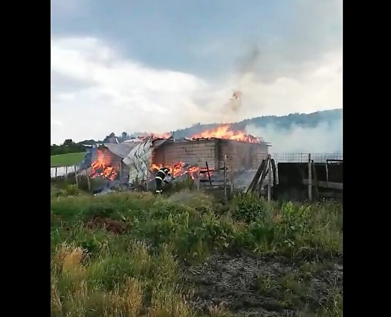 Incendiu, SEARA TRECUTĂ, pe dealurile Dragomireștiului! Un grajd și un depozit de furaje, distruse! Bovinele, salvate in extremis!