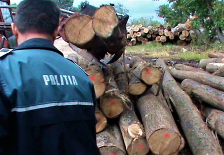 A plecat cu tractorul încărcat cu lemne și s-a întâlnit cu Poliția. S-a ales cu dosar penal