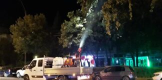ANUNȚ CUP SA Miercuri și joi, stropiri contra țânțarilor, în Bârlad! Grădina Publică și Parcul V.I.Popa, acțiuni de dezinsecție