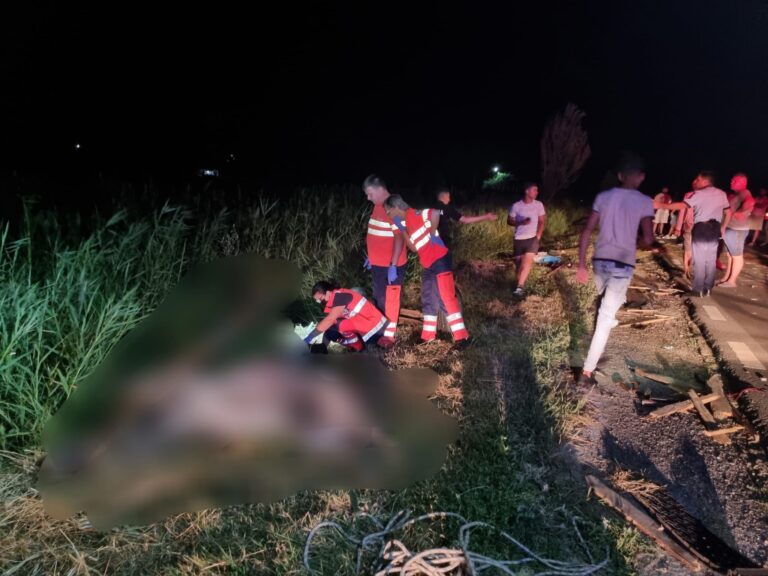 Căruțaș și cal morți într-un GROAZNIC accident rutier, noaptea trecută! Măcel pe drumul național!