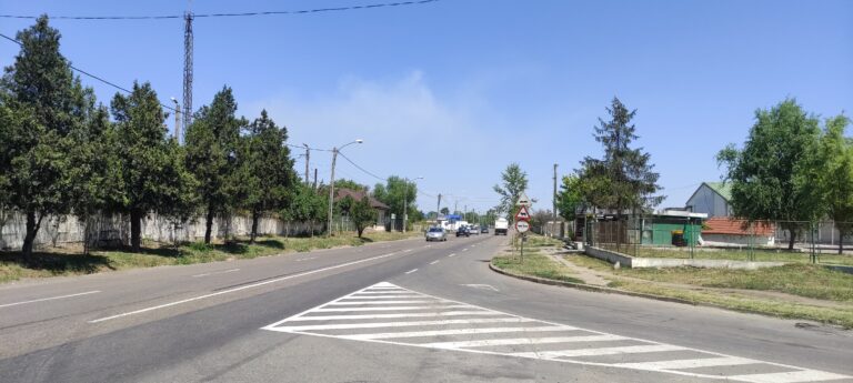 Fum gros ACUM peste municipiul Bârlad! Arde o pădurice de lângă oraș!
