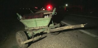 ȘTIREA NOPȚII Căruță cu trei persoane, spulberată de o mașină, în comuna Ivănești