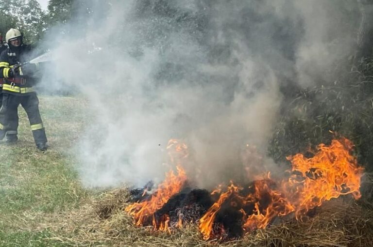 VIDEO Un incendiu devastator a produs pagube importante în orașul Murgeni! Bătrân de 90 de ani, la un pas să fie mistuit de flăcări!