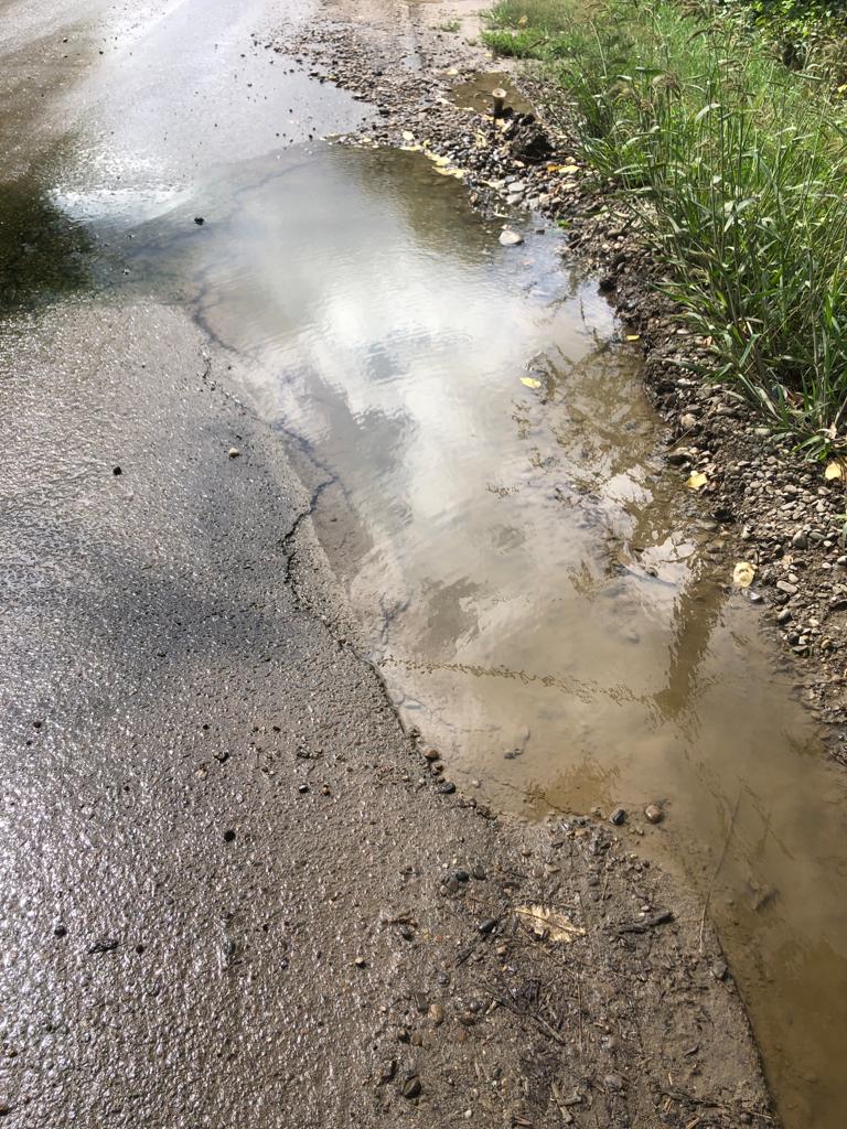 gropi strada castanilor 1