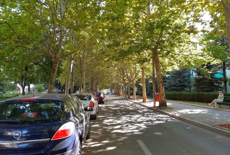 O stradă de suflet a tuturor vasluienilor se va schimba radical! Iată ce propune Primăria Vaslui: piste de biciclete, sistem nou de iluminat, parcări noi!