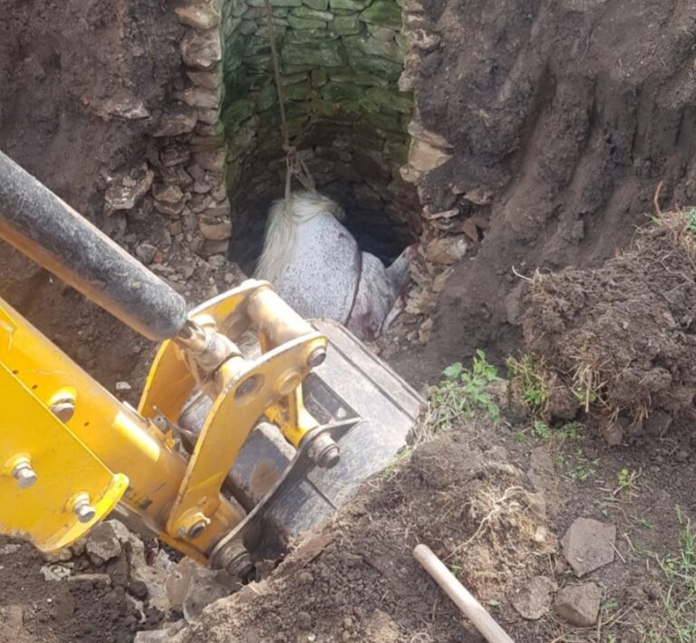 Acțiune DRAMATICĂ de salvare a unui cal căzut într-un canal adânc de 4 metri! Pompierii militari bârlădeni au reușit să salveze animalul!