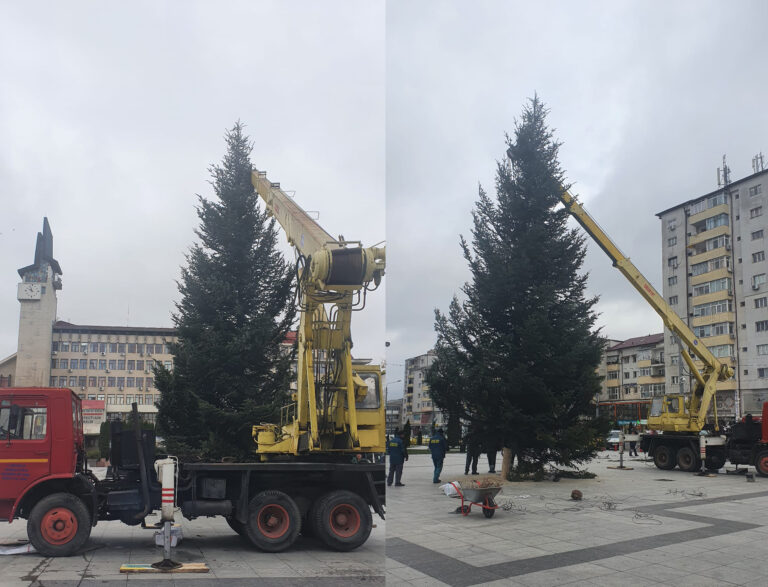 A venit bradul de Crăciun, în centrul Vasluiului! Să vină Moș Crăciun!