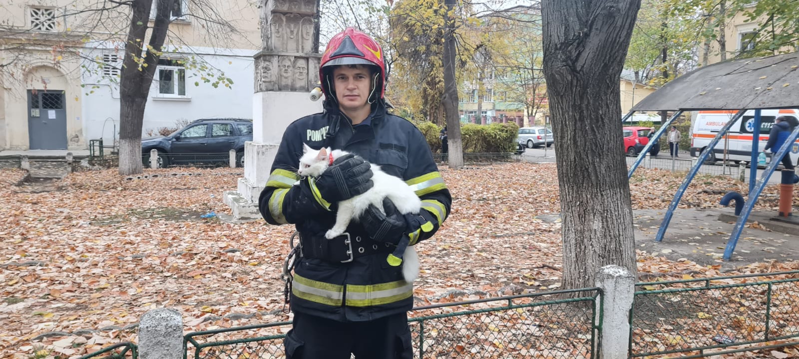 incendiu barlad pisici