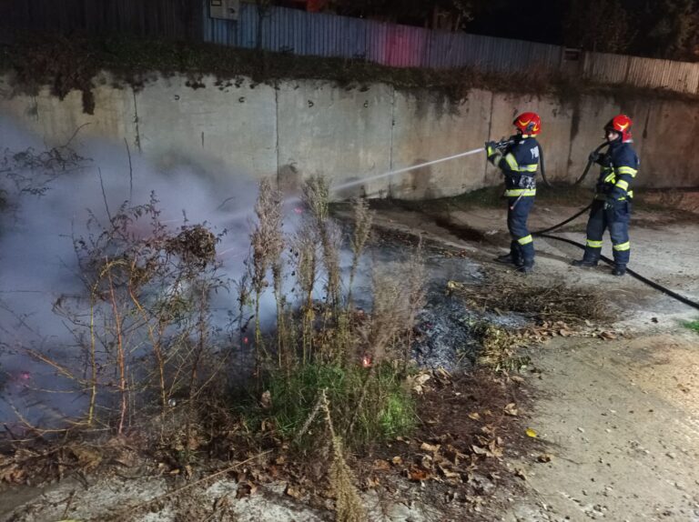 A fost incendiu de vegetație, vineri seara, în suburbia Gura Bustei, la Vaslui