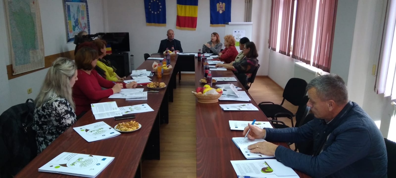 proiect radeni dragomiresti