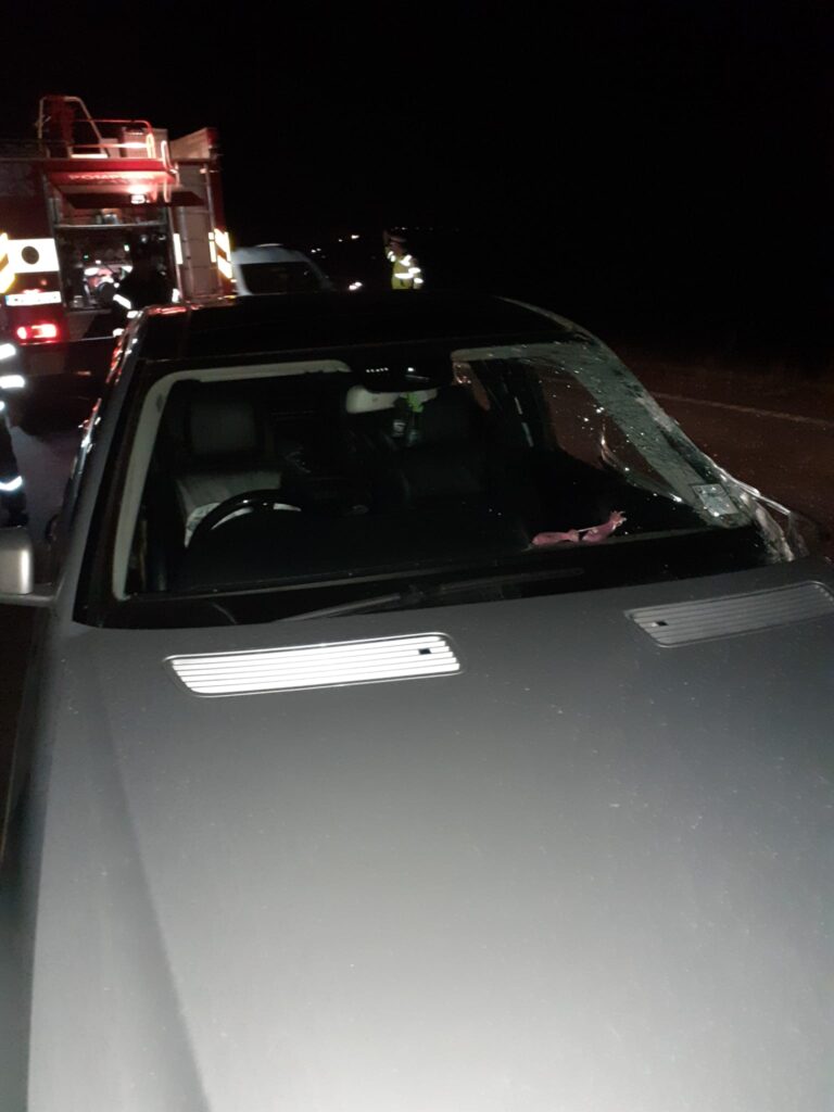 accident valea grecului 13