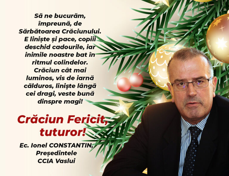 Mesaj Ec. Ionel Constantin, Președinte CCIA Vaslui