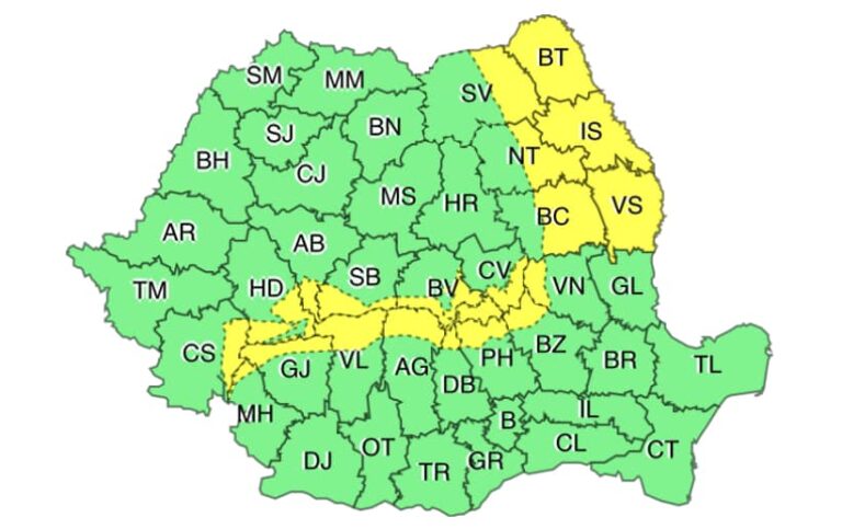 COD GALBEN de vânt pentru județul Vaslui, de marți și până miercuri dimineața!