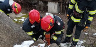 Pompierii vasluieni sunt pregătiți pentru salvarea de vieți omenești, la un cutremur comparabil cu cel din Turcia! Scenarii de intervenție, la Vaslui și Bârlad!