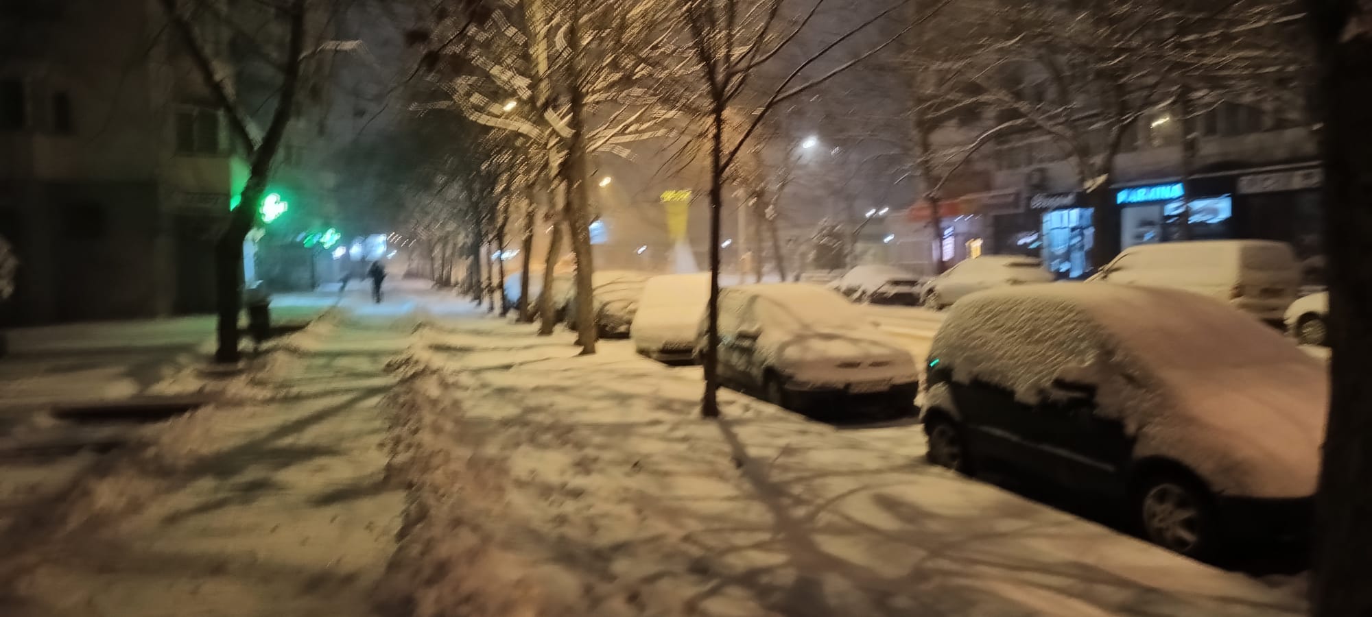 zapada vaslui 12