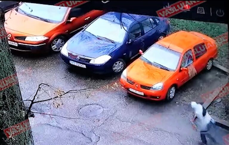 VIDEO Un individ instabil psihic face praf o mașină, într-o parcare din Vaslui! Reacția Poliției este halucinantă