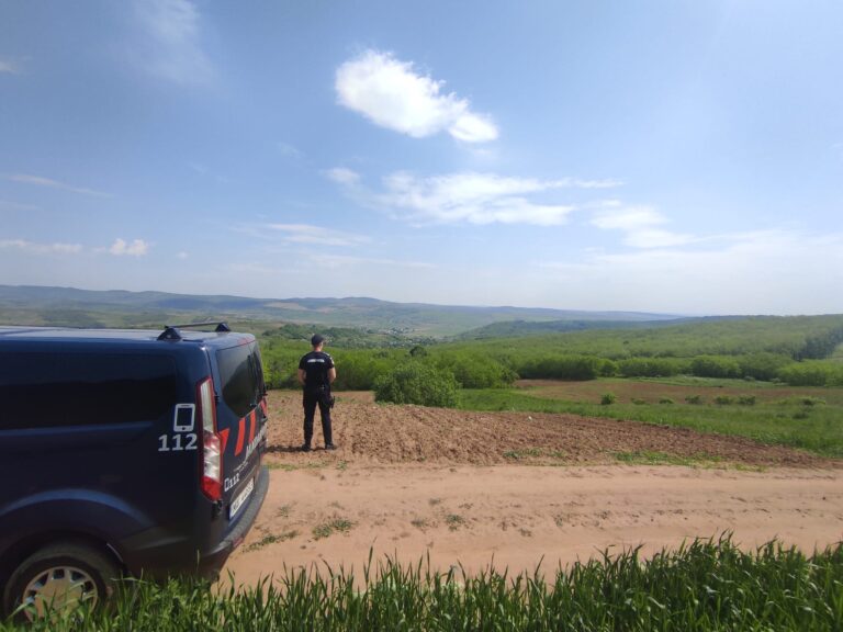 Jandarmeria Vaslui: „Ursul nu a fost găsit acolo unde s-a semnalat prezența”