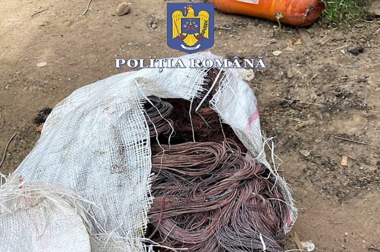 Trei haiduci din Voinești au ajuns în arest, după ce au tăiat cablurile de internet la Băcești