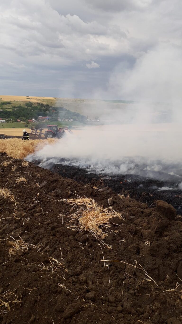 VIDEO Nouă hectare cu grâu au ars complet, la Rebricea. O combină a luat foc din senin