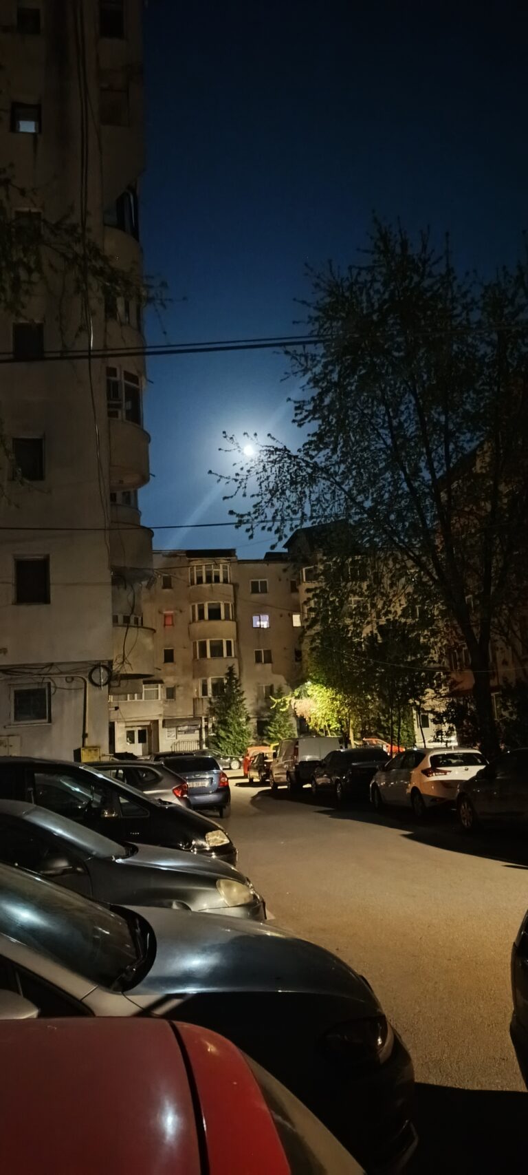 STIREA NOPȚII „Vasluiul este campion mondial la țânțari. Ca în Deltă”