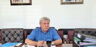 Primăria Bârlad a declarat război culturilor de ambrozie. Amenzi de până la 5.000 de lei, la persoane fizice