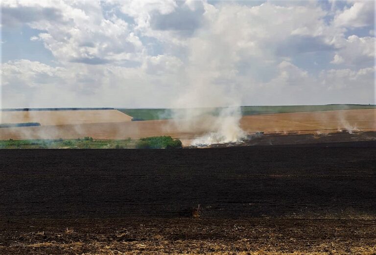 VIDEO Dezastru la Lunca Veche, au ars 21 de hectare de grâu. De la ce a pornit nenorocirea