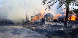 Băiețel de 10 ani, în stare gravă, incendiu devastator la Mălușteni