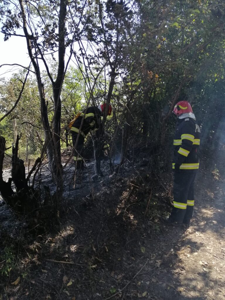 incendiu husi padureni 1