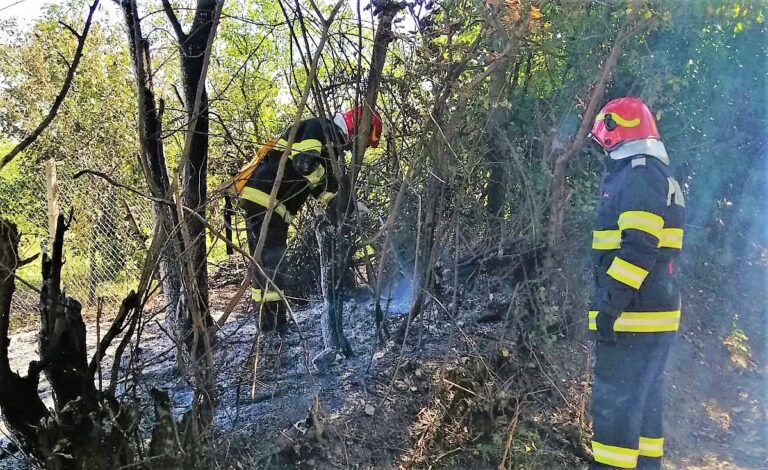 Flăcări pe dealurile Hușului, un individ a incendiat vegetația uscată