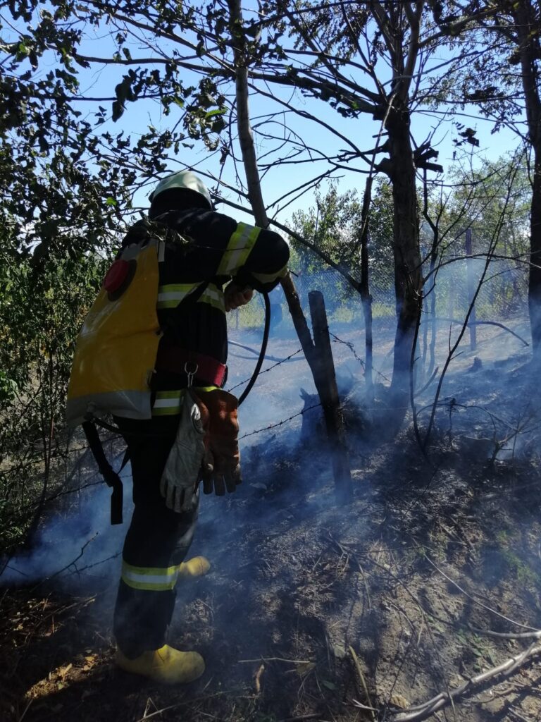 incendiu husi padureni