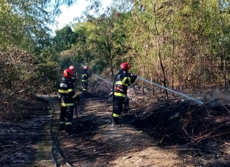 Incendiu de vegetație la Ștefan cel Mare, pompierii s-au luptat cu flăcările