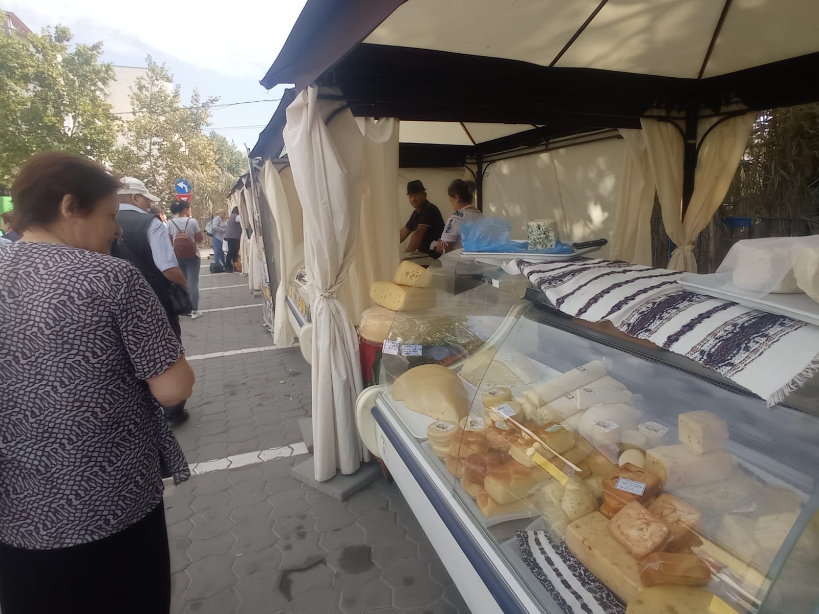 targ de toamna vaslui 5
