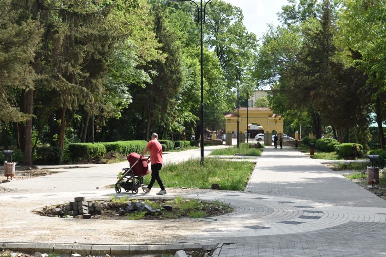 Primăria Bârlad angajează zilieri, pentru întreținerea spațiilor verzi. Plata, săptămânal