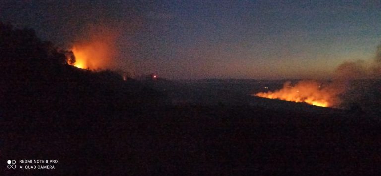 Zeci de hectare de pădure și miriști mistuite de flăcări, la Ștefan cel Mare