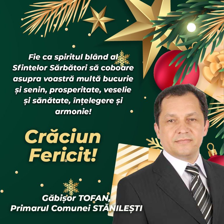 Mesaj Găbișor Tofan, primar comuna Stănilești